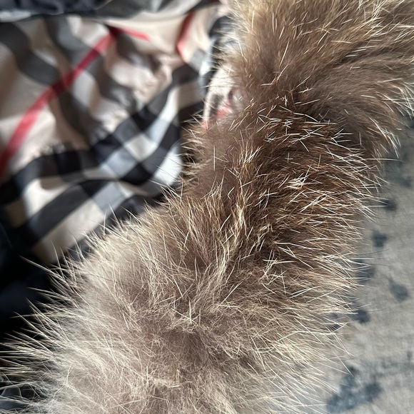 BURBERRY Girls 14Y Janie Black Puffer Coat with Fox Fur Trim Hood - Picture 4 of 9